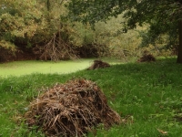Landart oder einfach nur zusammengeharkte Grashaufen an der Einsiedelei
